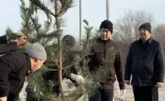 Высадка 150 сосен в Актобе способствует озеленению и улучшению экологической ситуации в городе