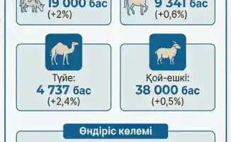 Махамбетский район удвоил посевные площади