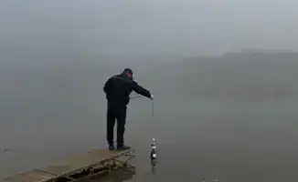 Экологическая безопасность: итоги инспекций в регионе