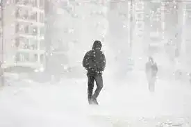 Осторожно, стихия: столичные спасатели призывают к бдительности в ненастье