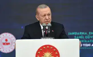 Эрдоган призвал Россию и Украину сохранить мир в Черном море