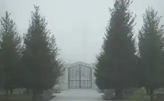 Астана в тумане: город окутан белым покрывалом, но зима все еще не пришла