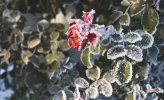 Казахстан: январь 2026 — морозы, которые не забудутся