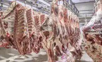 Ограничение экспорта говядины из Казахстана: как это повлияет на рынок и мелкие убойные цеха?