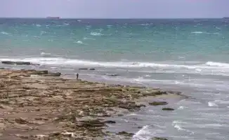 Токаев в Астане призывает к защите вод Каспия