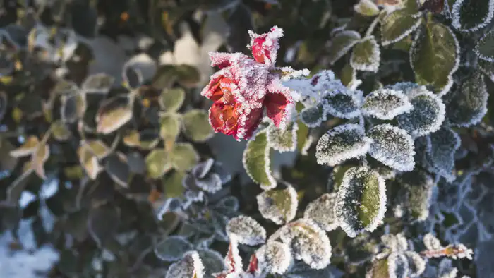 Казахстан: январь 2026 — морозы, которые не забудутся {city2}