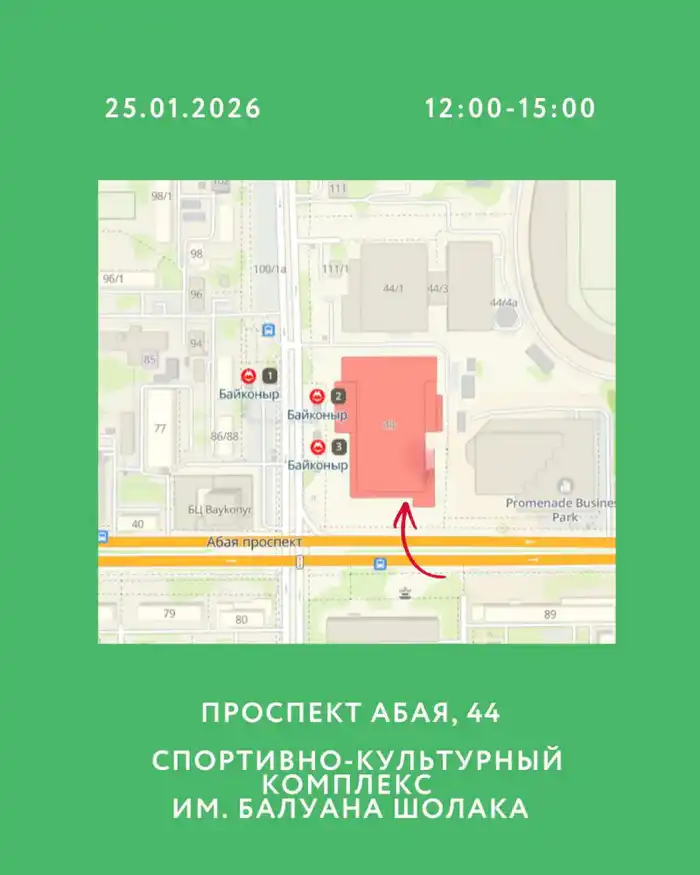 В Алматы пройдет открытое экомероприятие Recycle Birge (3)