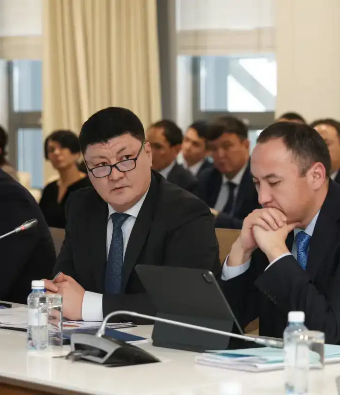 Туркестанская область: собственные доходы взмыли ввысь, преодолевая план на 109% {city2}