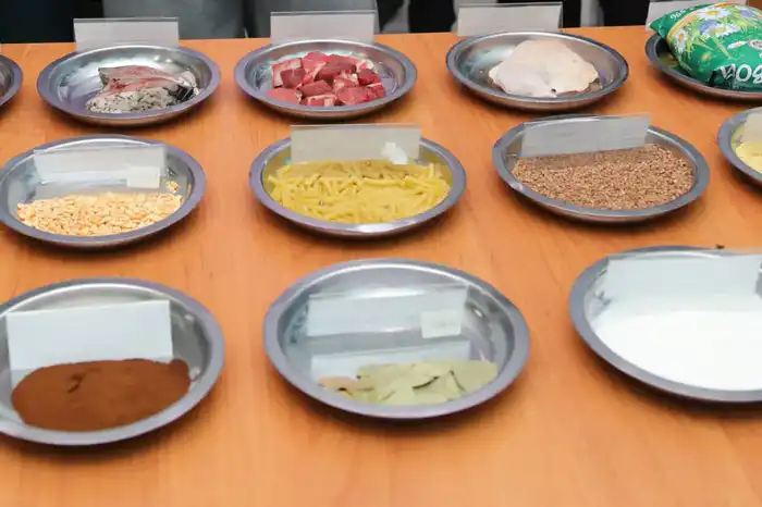 Стоимость продовольственного пайка военнослужащих увеличена (3)