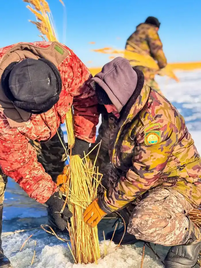 В водоёмах проводятся работы по аэрации (5)