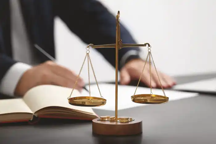 Судейский отбор: скорость и прозрачность на высоте! {city2}