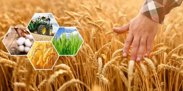 Устойчивый рост агропромышленного комплекса в Актюбинской области благодаря государственной поддержке {city2}