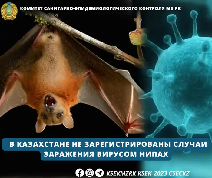 Стабильная эпидемиологическая ситуация в Казахстане: меры контроля на границе усиливаются {city2}