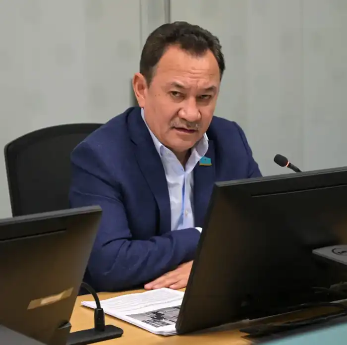 С нового года - к новым задачам и проектам (6)