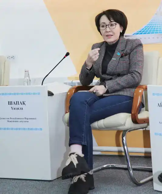 Депутаты Мажилиса обсудили реформы и социальные инициативы с учёными Караганды (3)