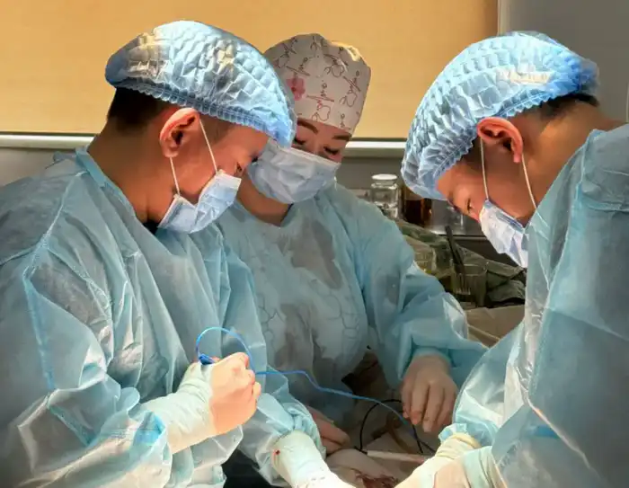 Гидронефроз успешная лапароскопическая операция ОСМС высокотехнологичная медицинская помощь {city2}