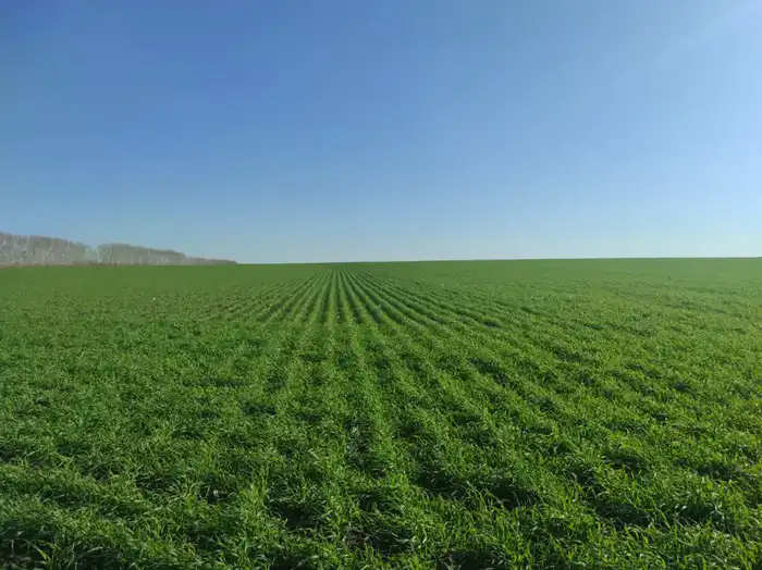 Разработка стратегии развития агропромышленного комплекса в Восточно-Казахстанской области с фокусом на растениеводство и животноводство {city2}