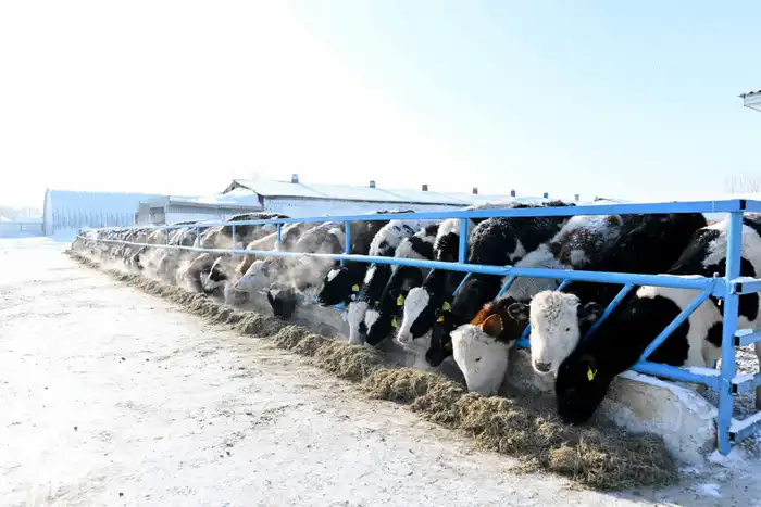 Аким области ознакомился с деятельностью крестьянских хозяйств в Бескарагайском районе (2)