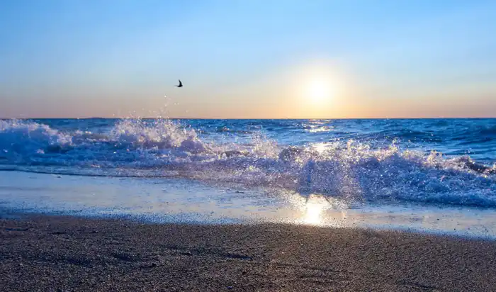 Туризм в Жетісу: до летнего сезона этого года на побережье Балхаша появятся два коммунальных пляжа (10)