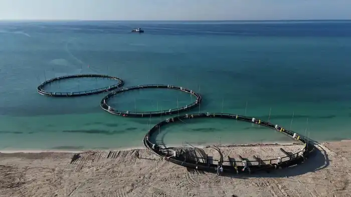 Рост производства рыбной продукции в Казахстане: почти 60 тыс. тонн за 11 месяцев 2025 года {city2}