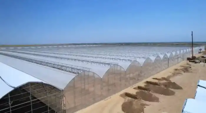 В ТУРКЕСТАНСКОЙ ОБЛАСТИ ЗАПУСТЯТ КРУПНЕЙШИЙ В СТРАНЕ ПРОМЫШЛЕННЫЙ ТЕПЛИЧНЫЙ КОМПЛЕКС (4)