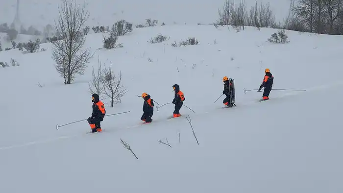 Спасательные подразделения МЧС провели учения в лавиноопасный сезон (4)