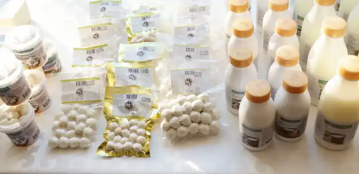 Итоги года в области Жетісу: доля Талдыкоргана в сфере МСБ региона достигла порядка 33% (3)