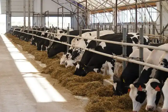 В Алматинской области построят завод по производству кормов для домашних животных с объемом инвестиций свыше 88 млрд тенге {city2}