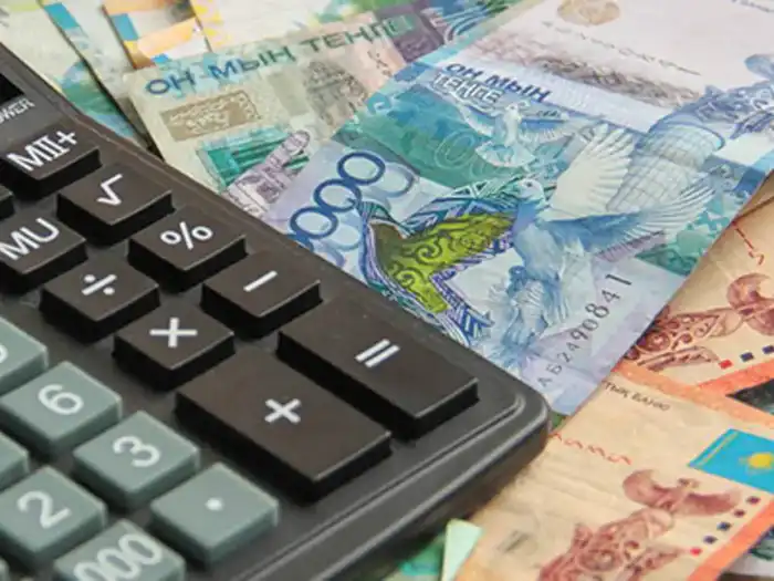 Казахстан выделил 746 млрд тенге на социальные пособия для инвалидов и семей с потерей кормильца в 2025 году {city2}