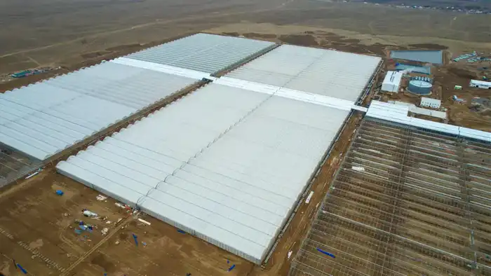 В ТУРКЕСТАНСКОЙ ОБЛАСТИ ЗАПУСТЯТ КРУПНЕЙШИЙ В СТРАНЕ ПРОМЫШЛЕННЫЙ ТЕПЛИЧНЫЙ КОМПЛЕКС (6)