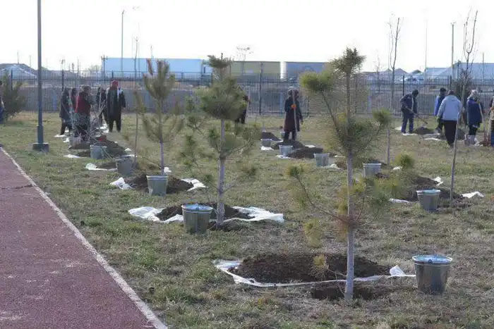 Подготовка к зиме в Туркестанской области: безопасность и комфорт для жителей в условиях непогоды {city2}