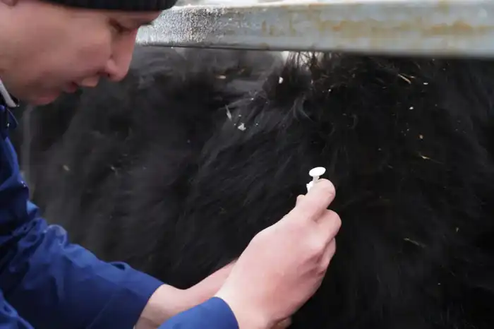 ТУРКЕСТАН: ОБСУЖДЕНЫ АКТУАЛЬНЫЕ ВОПРОСЫ АГРОПРОМЫШЛЕННОГО КОМПЛЕКСА (7)