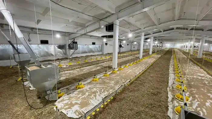 В Карагандинской области появился новый птичник с искусственным интеллектом (5)