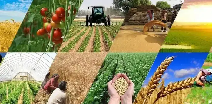 Карантин на повестке: ваше слово решает будущее! {city2}