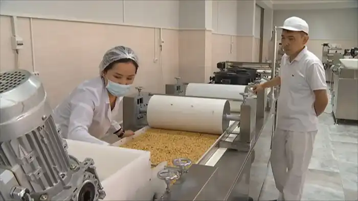 Алматы: Возрождение строительной отрасли в индустриальной зоне с новыми сэндвич-панелями {city2}