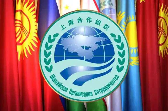 Участие Комитета государственной инспекции в АПК в видеоконференции стран – членов ШОС по вопросам фитосанитарной безопасности {city2}