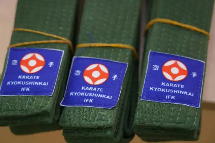 Церемония вручения поясов юным каратистам в столичной школе: шаг к международному развитию спортивных традиций {city2}