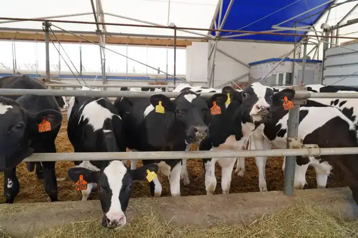 Акмолинская область демонстрирует рекордный рост инвестиций в 2025 году {city2}