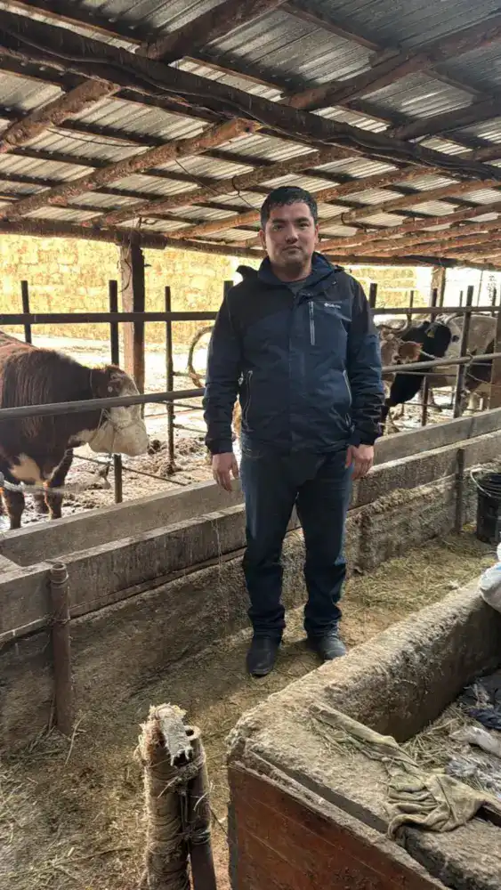 Социально-экономическое развитие Отырарского района через устойчивое скотоводство: пример ТОО 'Нурислам-Айшуак' {city2}