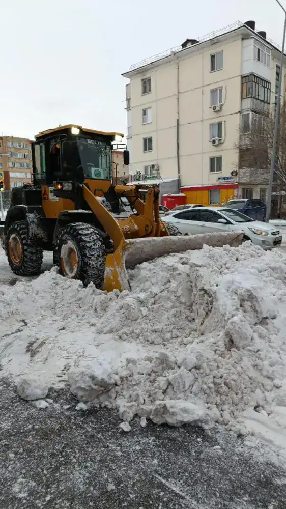 Более 1 500 единиц спецтехники задействовали в снегоуборочных работах в Астане ночью (3)
