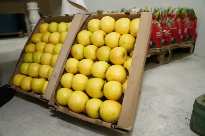 Завод по глубокой переработке фруктов и ягод запустили в Туркестанской области (6)