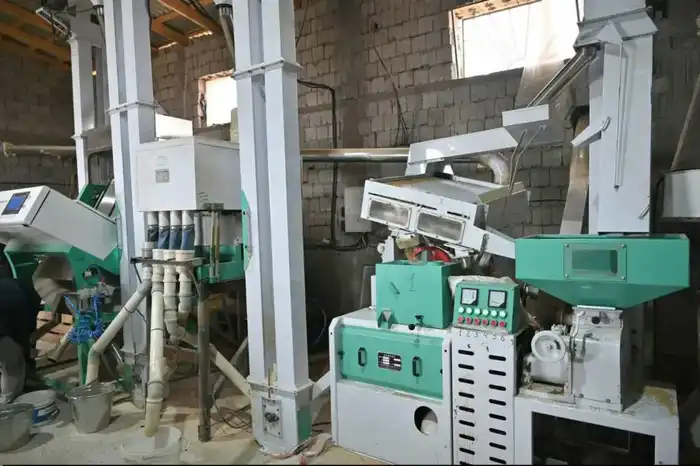 Запуск нового рисоперерабатывающего цеха в Туркестанской области: инвестиции и планы по расширению бизнеса {city2}