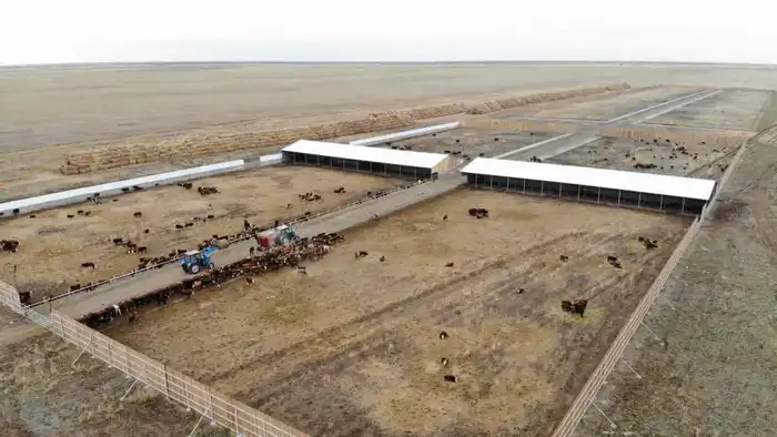 В Аксуатском районе ведется строительство нескольких объектов предпринимательства (5)