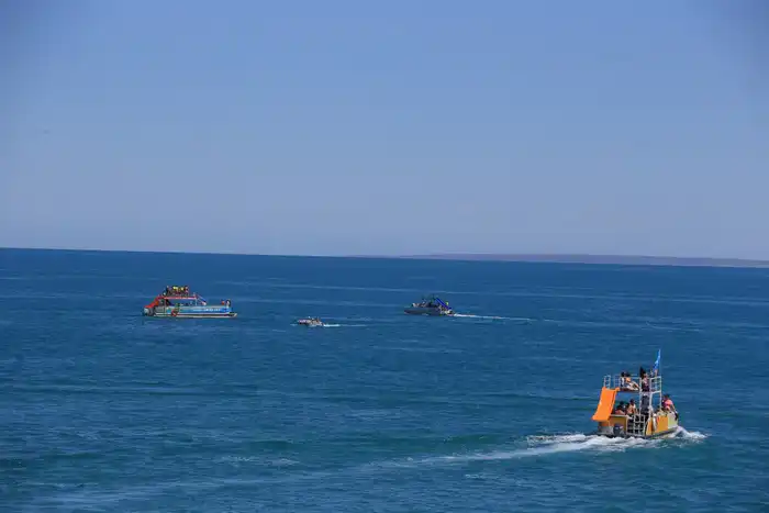 3 фестиваля области Жетісу вошли в cобытийный календарь культурно-туристских мероприятий Министерства туризма и спорта (9)