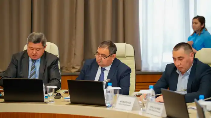 В Общенациональный пул включены 62 инвестиционных проекта ВКО (7)