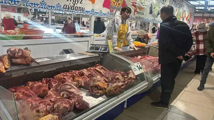 В Актобе прошла сельскохозяйственная ярмарка (7)