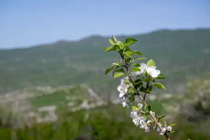 Экологический туризм в Жетісу: число посетителей национальных парков за год достигло 40 тыс. человек (4)