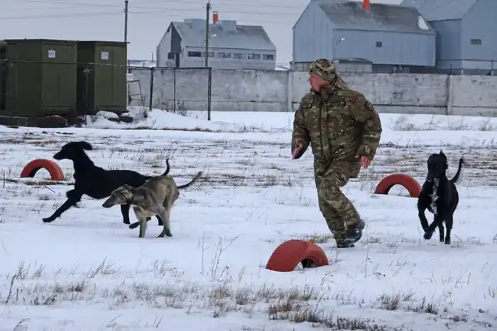 Четвероногий «солдат» служит в войсковой части Вооруженных сил (2)