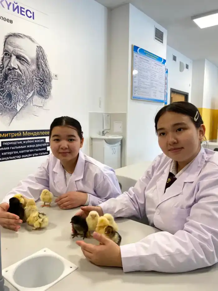 Школьники Астаны: цыплята из инкубатора в реальность! {city2}