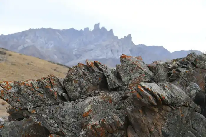 Президент Казахстана подчеркнул важность включения культурного наследия страны в список ЮНЕСКО {city2}
